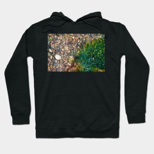 Rock Pool With Beach Pebbles & Seaweed - Abstract Coastal - #1 Hoodie